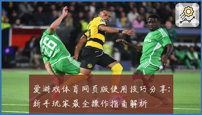爱游戏体育网页版使用技巧分享：新手玩家最全操作指南解析