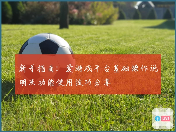 新手指南：爱游戏平台基础操作说明及功能使用技巧分享
