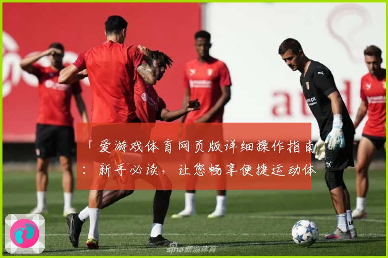 「爱游戏体育网页版详细操作指南：新手必读，让您畅享便捷运动体验」